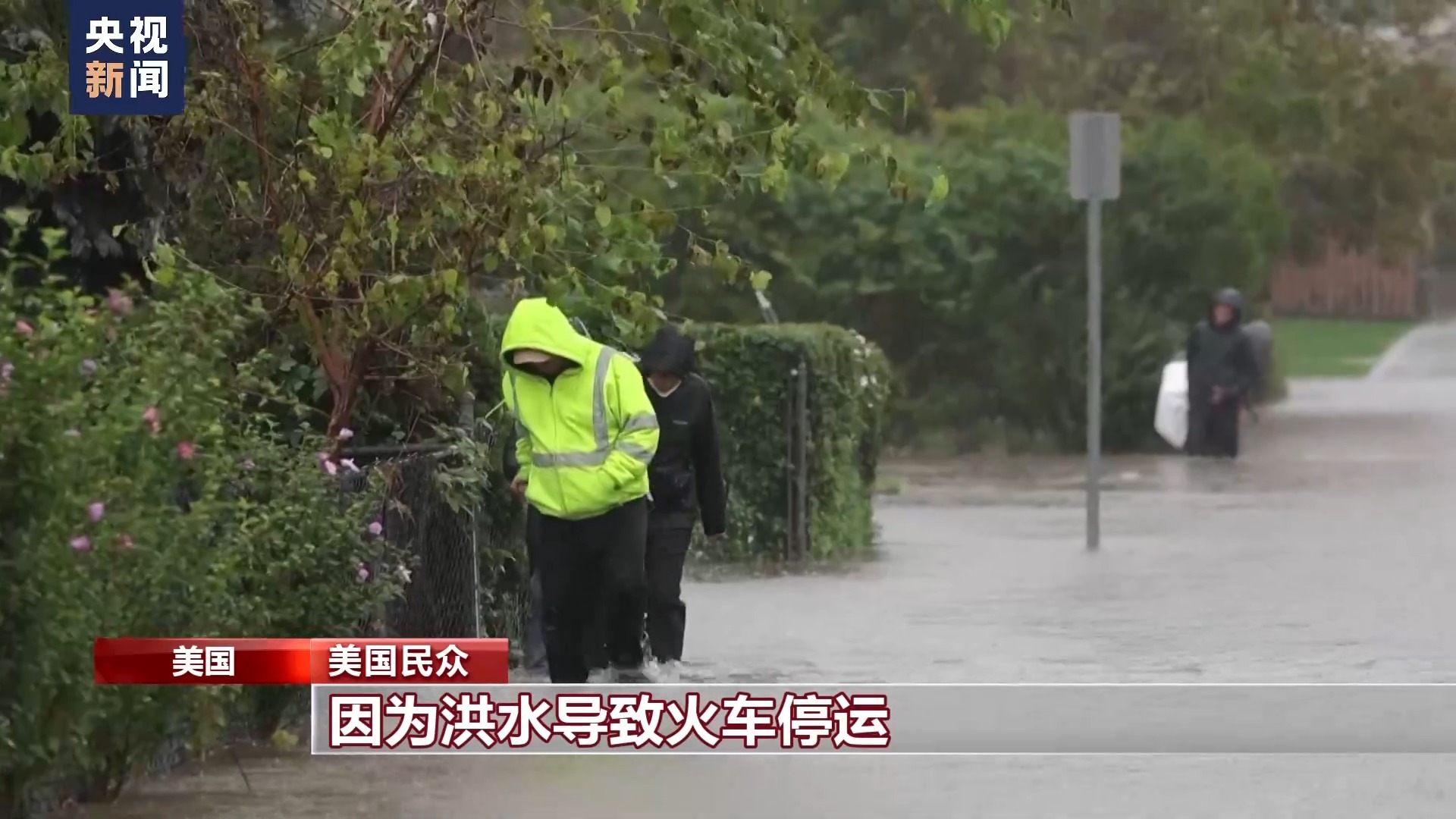 真人博狗网